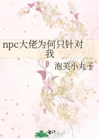 npc大佬为何只针对我