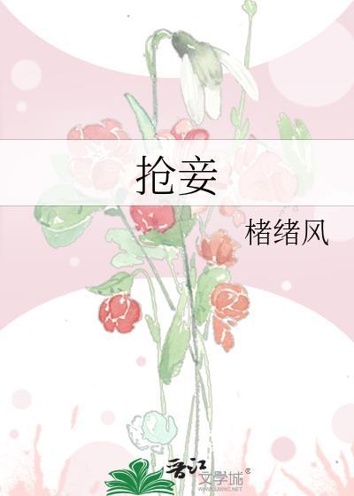 抢妾