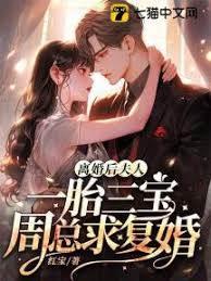 离婚后，夫人一胎三宝周总求覆婚