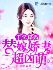 千亿谋婚:替嫁娇妻超凶萌
