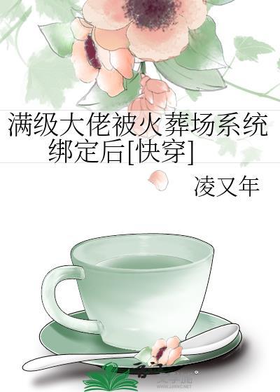 满级大佬被火葬场系统绑定后[快穿]