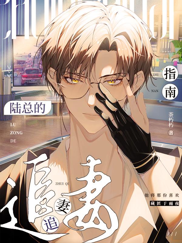 陆总的追妻指南