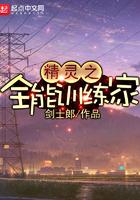 精灵之全能训练家