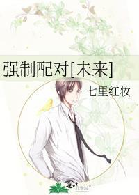 强制配对[未来]