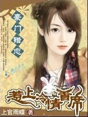豪门错恋:惹上冷情首席