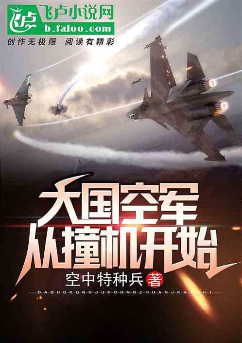 大国空军:从撞机开始