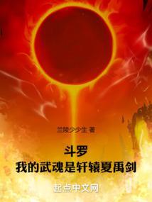 斗罗:我的武魂是轩辕夏禹剑