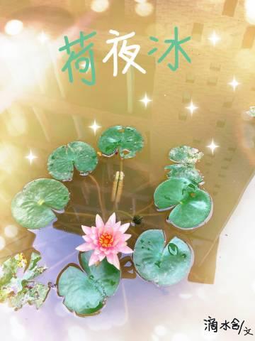 荷夜冰