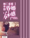 婚外情:婚昏欲惑