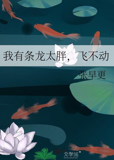 我有条龙太胖,飞不动