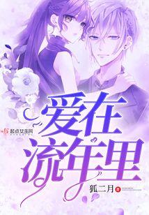 爱在流年裏