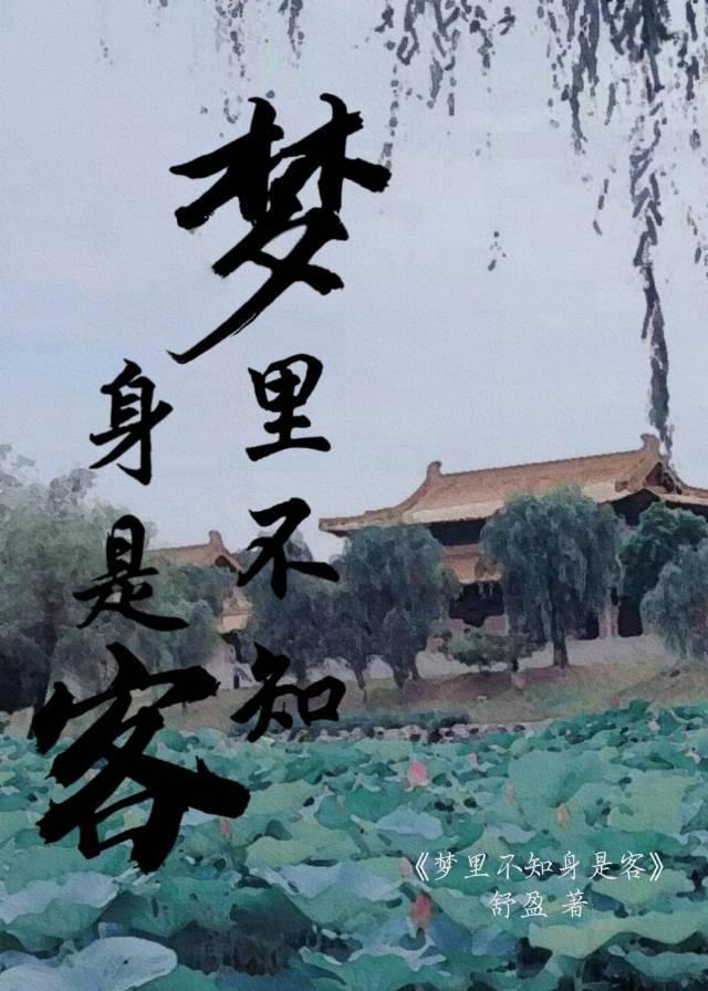 梦裏不知身是客