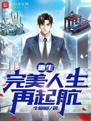 重生：完美人生再起航