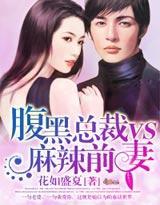 腹黑总裁vs麻辣前妻