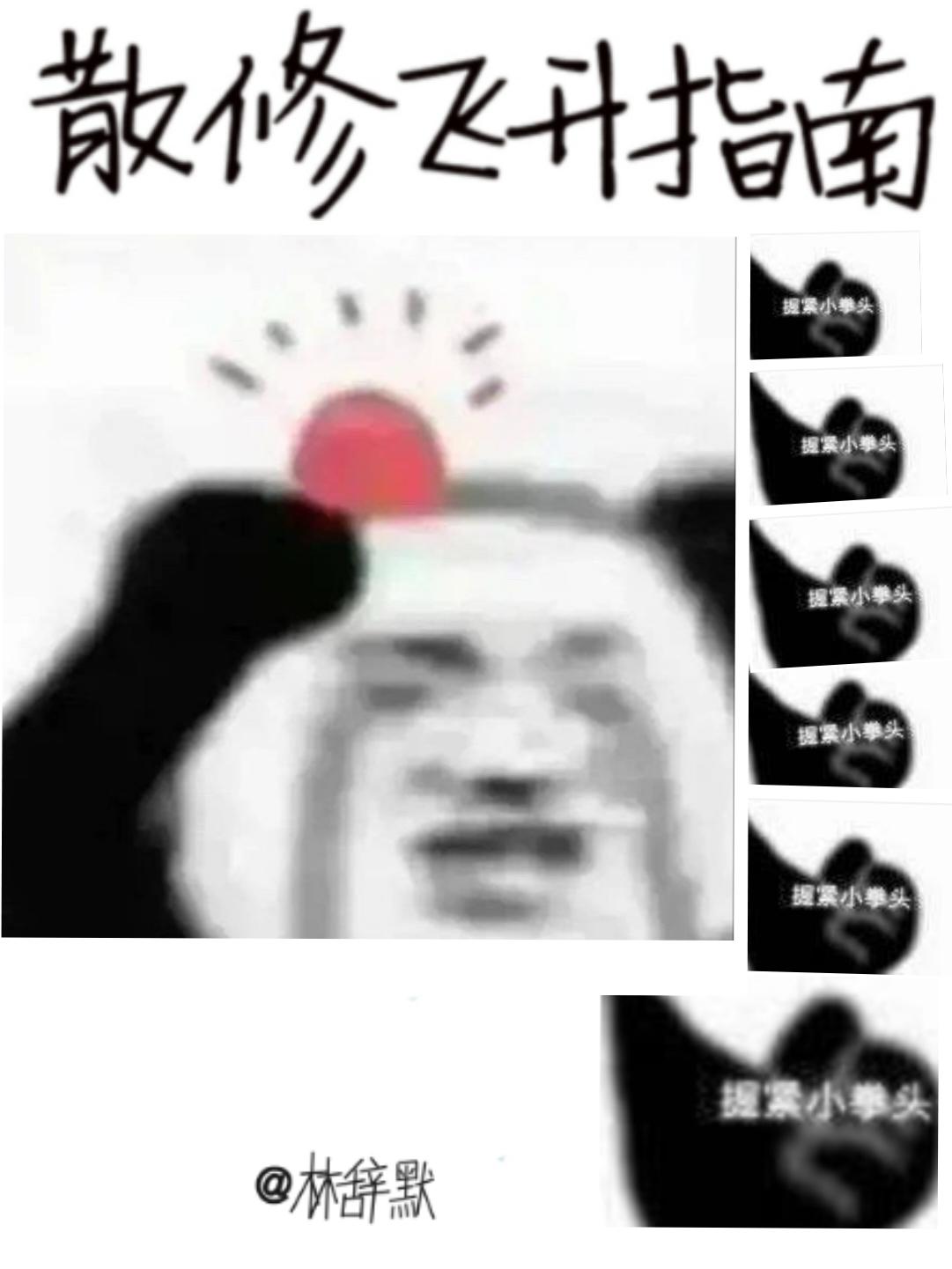 散修飞升指南