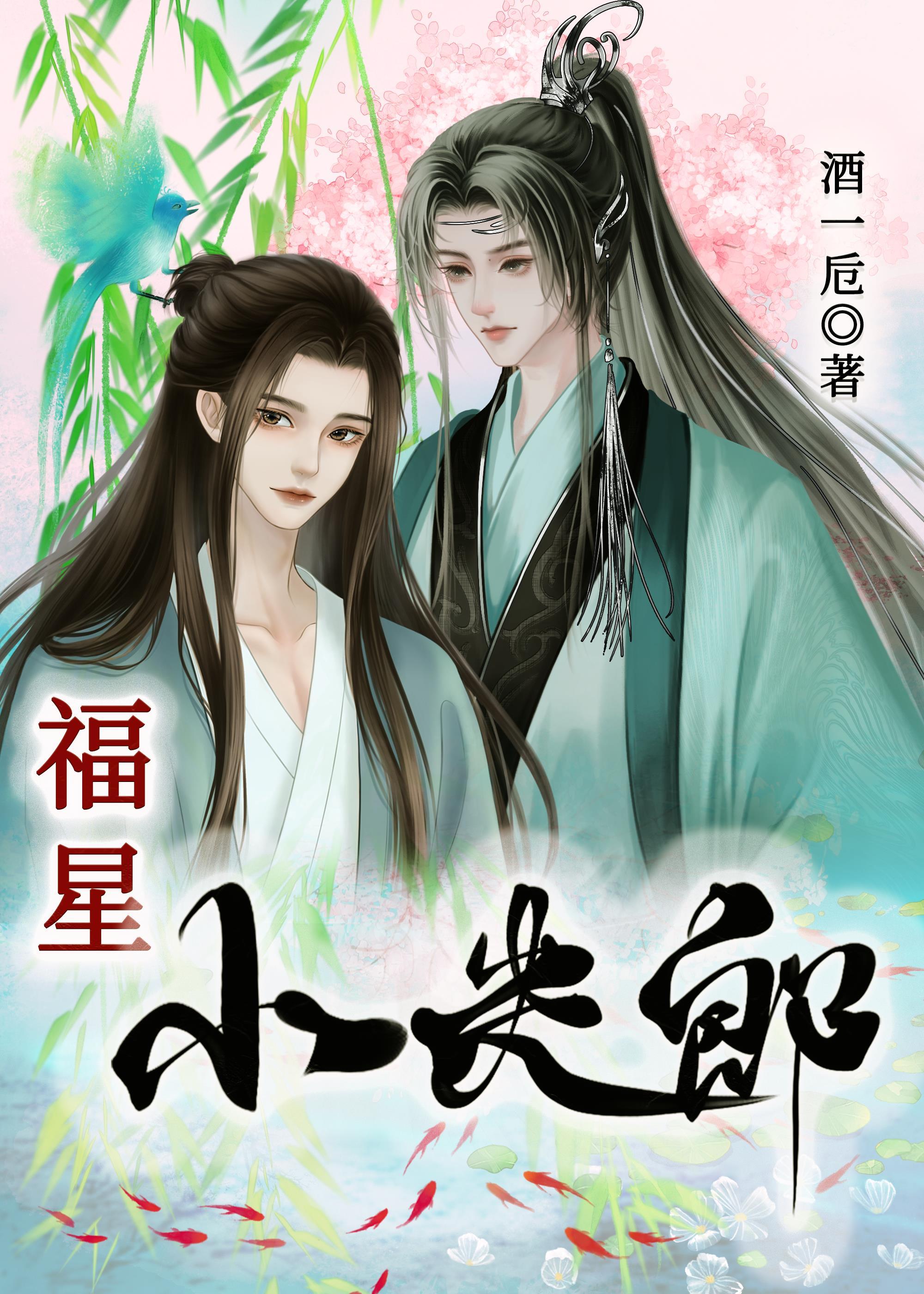 福星小夫郎