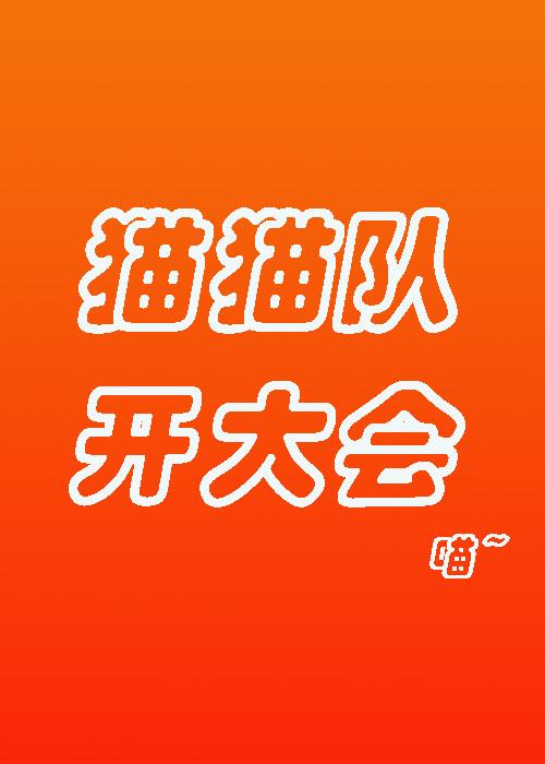 猫猫队,开大会