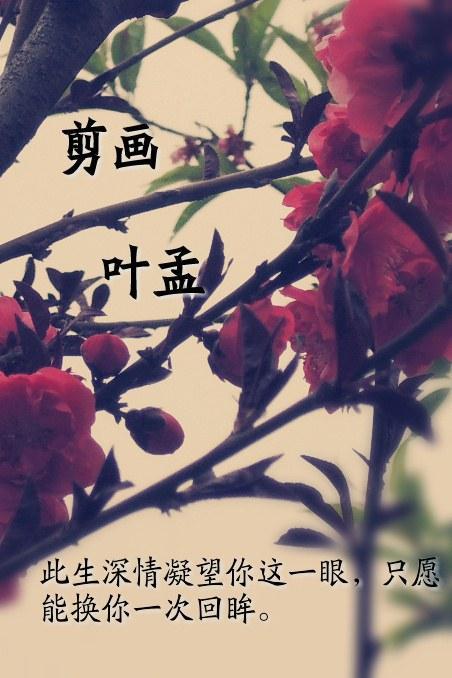 剪画
