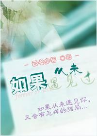 如果从未遇见过