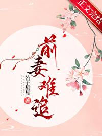 前妻难追