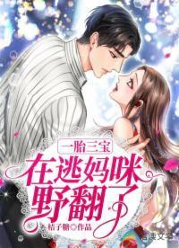 一胎三宝:在逃妈咪野翻了