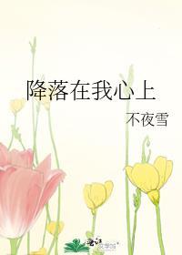 降落在我心上