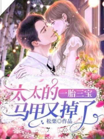 一胎三宝:太太的马甲又掉了