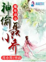 魔尊盛宠：神偷聂小乔
