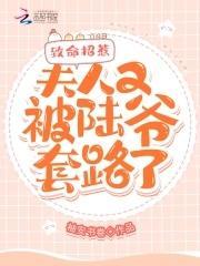 致命招惹:夫人又被陆爷套路了