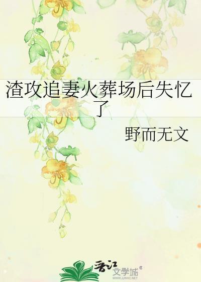 渣攻追妻火葬场后失忆了