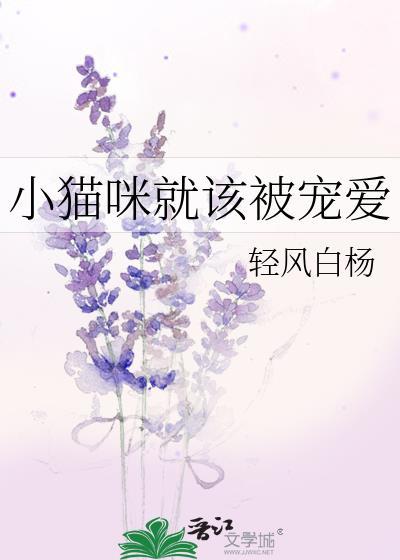 小猫咪就该被宠爱