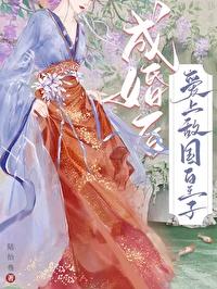成婚后爱上敌国皇子