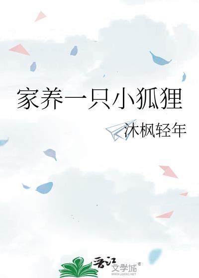 家养一只小狐貍