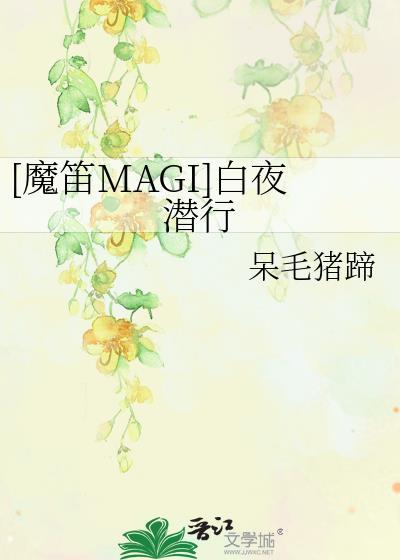 [魔笛MAGI]白夜潜行
