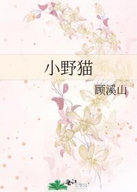 小野猫