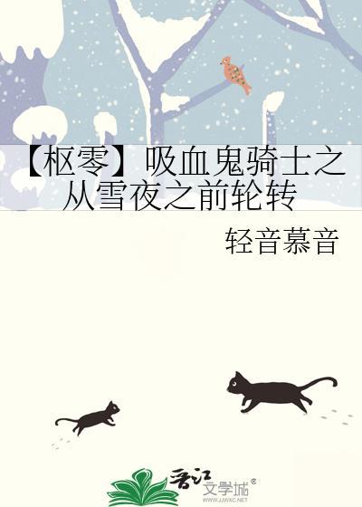【枢零】吸血鬼骑士之从雪夜之前轮转