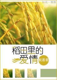 稻田裏的爱情