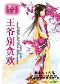 妾上无妻：王爷别贪欢