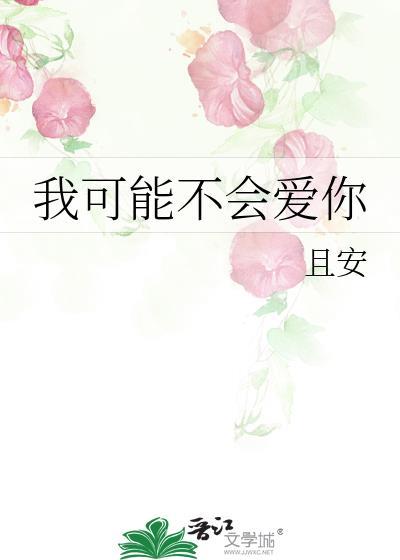 我可能不会爱你