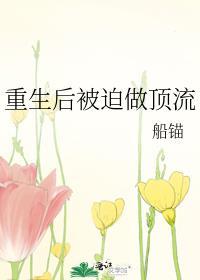 重生后被迫做顶流