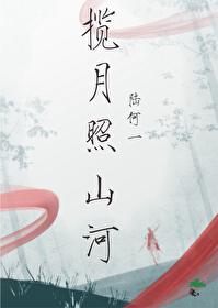 揽月照山河