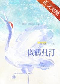 似鹤归汀