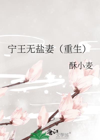 宁王无盐妻(重生)