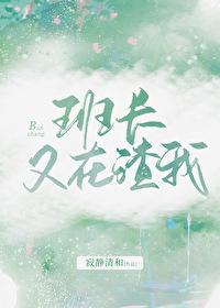 班长又在渣我