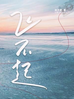 飞不起