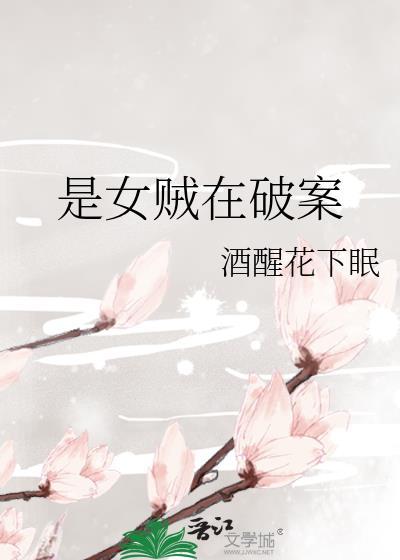 是女贼在破案