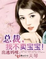 出逃妈咪:总裁,我不卖宝宝