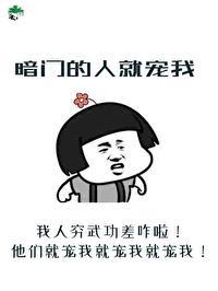 暗门的人就宠我