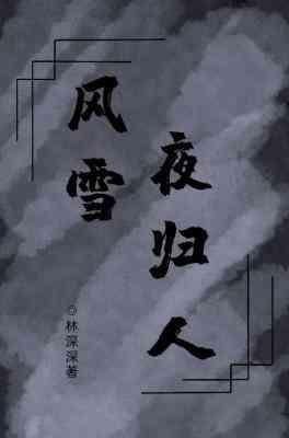 风雪夜归人