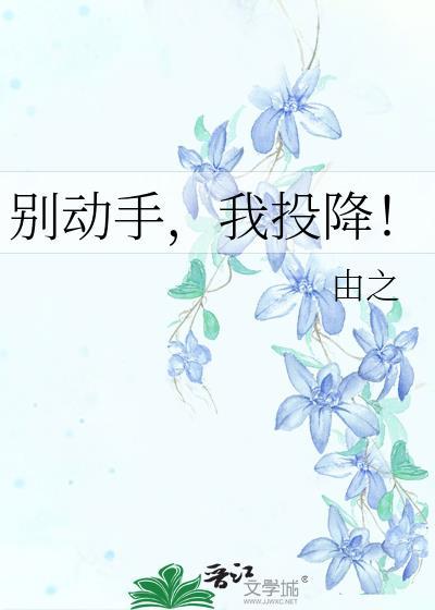 别动手,我投降!